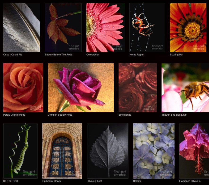 Check out the portfolio of Nanci Rozal @NRimages - n-rozal.pixels.com 

via @fineartamerica | #fineartphotography #naturephotography #photography #artforsale #artist #photographer