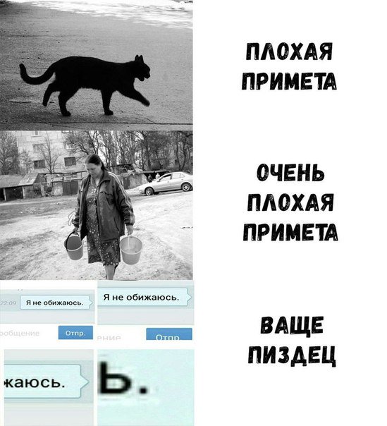Ядерный Кот (@its_interesno) on Twitter photo 