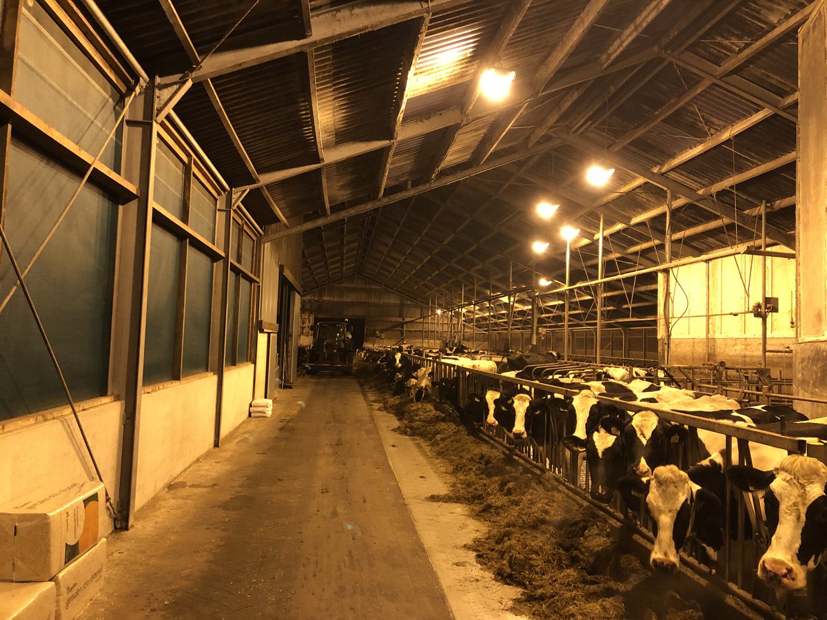 Sinds een half jaartje hebben we een bedrijfsleider in dienst genomen, die ook op de boerderij woont. Wanneer hij vrij is mag ik weer even boer zijn, zoals nu dit weekend 👍