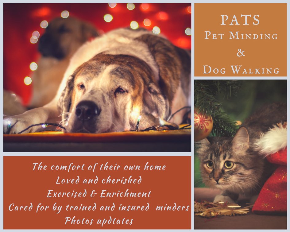 PatsPerth's tweet image. If you are wanting to make some last minute holiday plans but worried what do to with your pets? Our wonderful carers find it a pleasure to look after your special pets.
Contact | lauren@pats.net.au 

#petminding #dogwalking #perthpetminding
#perthpetminding #doglovers