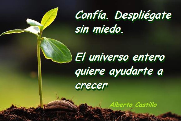 16. LA FUERZA QUE TE IMPULSA
laclaveyam.blogspot.com.es/2017/11/16-la-…