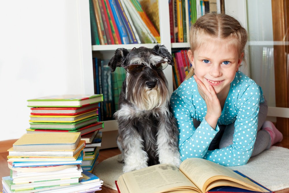 EmiratesEdu's tweet photo. Dogs + Books! Two of the best things together at last! https://t.co/FttMICAud5 https://t.co/V97D9NHGi6