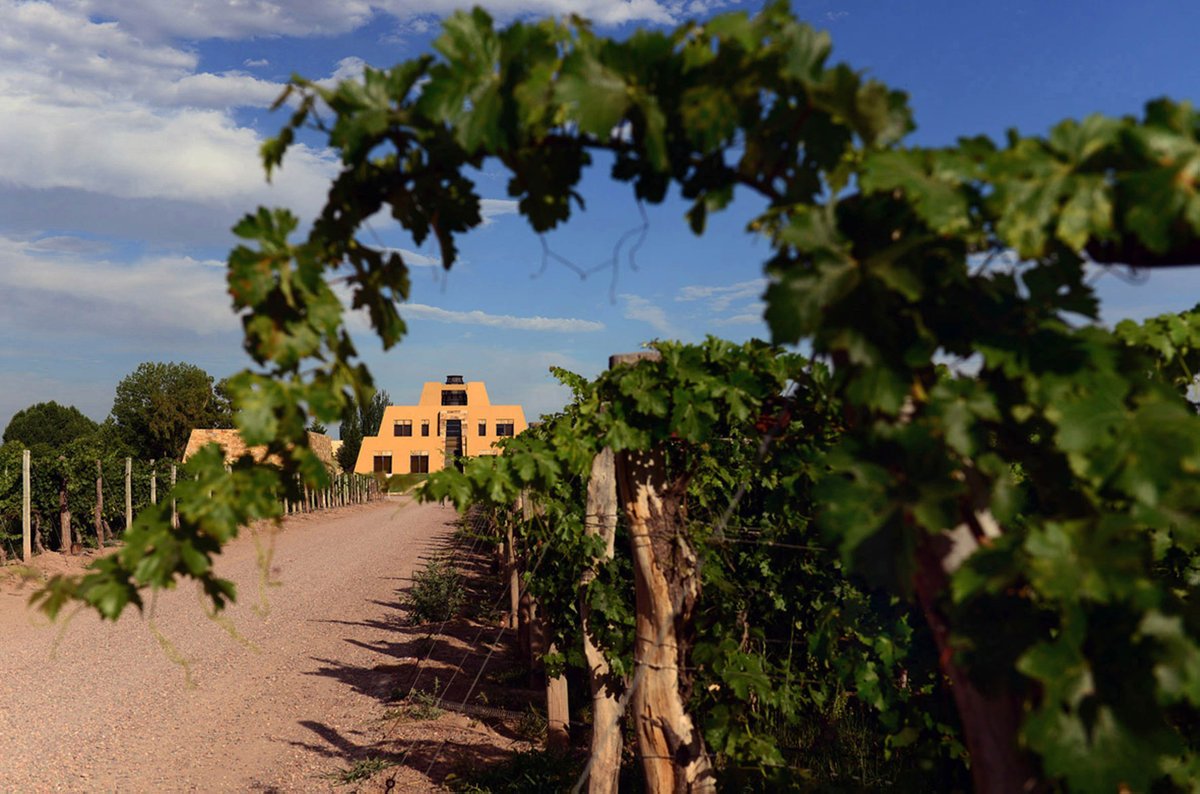 CatenaMalbec's tweet photo. "Catena Zapata: la bodega elegida por uno de los máximos críticos internacionales de vino". Muy linda nota de @infobae sobre los premios "Extraordinary Winery Award 2017" de @Wine_Advocate ! No se la pierdan! 👉 https://t.co/YZU493GvET https://t.co/HEw9el8AsR