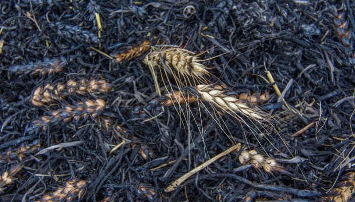 en_informator's tweet image. Working group on #Crimea and #NGCA of #Donbass: not collaborators search, but protection of citizens informator.media/archives/279607