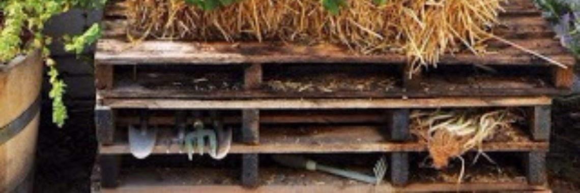 MoestuinHulp's tweet image. BUDGET #MOESTUIN - GEBRUIK je KEUKENAFVAL OM GROENTE en FRUIT te KWEKEN  #Food #&amp;amp; #Drinks oal.lu/BlZyu