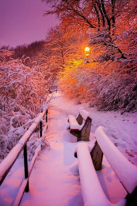 gwen1173's tweet photo. Lovely!!!💗❄️ #happynewday #lovenature https://t.co/n1HNzXTgSu