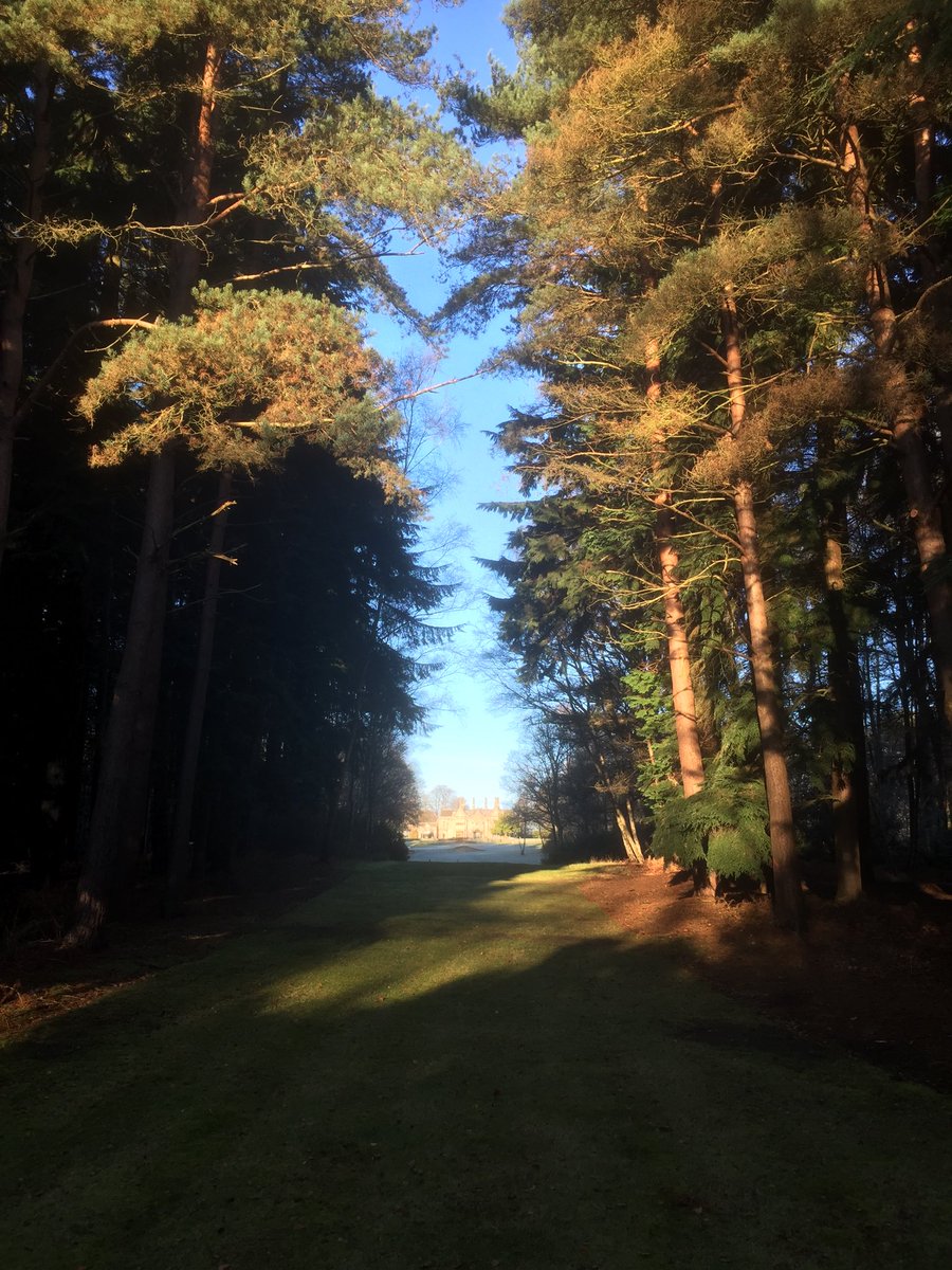 ReedsSchoolGolf's tweet photo. Stunning morning for the inaugural RSGA Par-3 Championship @FoxhillsSurrey #manorcourse @ReedsSchool https://t.co/fjscAkruI9