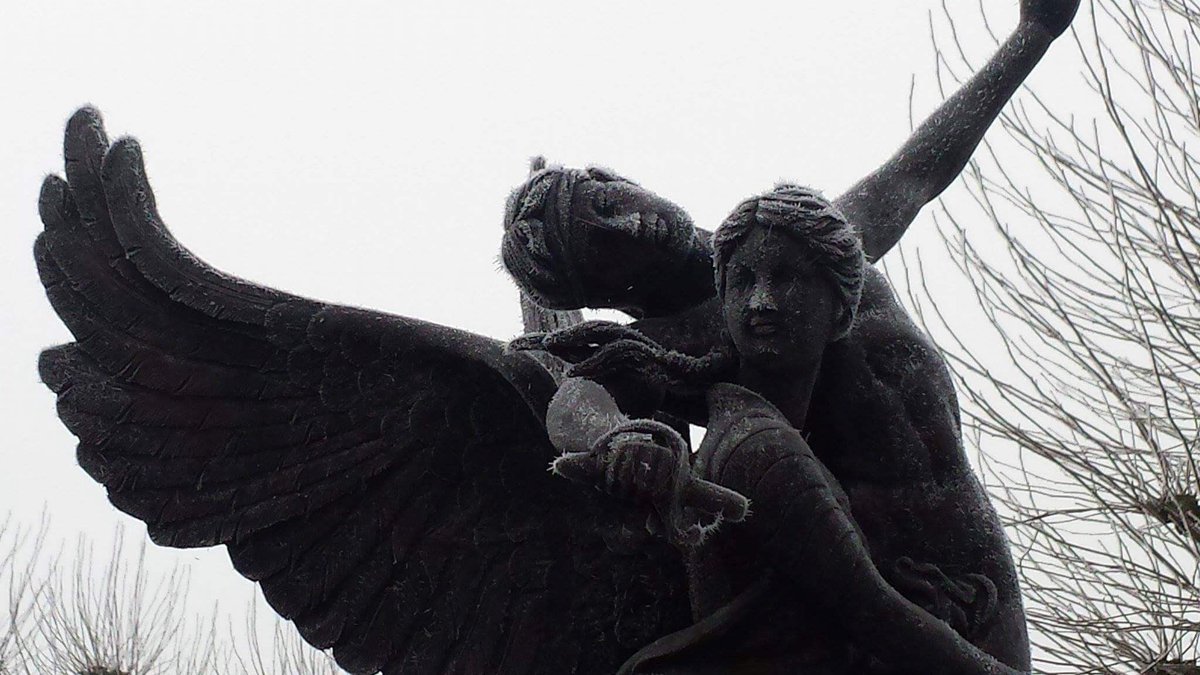 Wat een prachtige foto, net van collega ontvangen😀