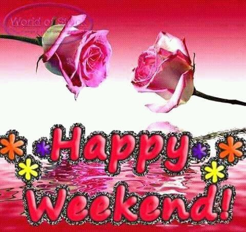 Hi pals