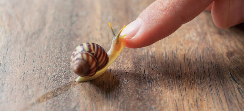 Bio2Nature's tweet photo. Helix Active #Slakkencreme of #slakkenslijmgel @Bio2Nature https://t.co/ftHFybUZbw tegen #littekens #rimpels #puisten #meeeters #depigmentatie #voedend #huidirritatie #striae #veroudering #cellulitis ideaal voor #gezichtsverzorging #hydraterend #voedend #elasticiteit #zachtehuid https://t.co/3QRYprmY5p