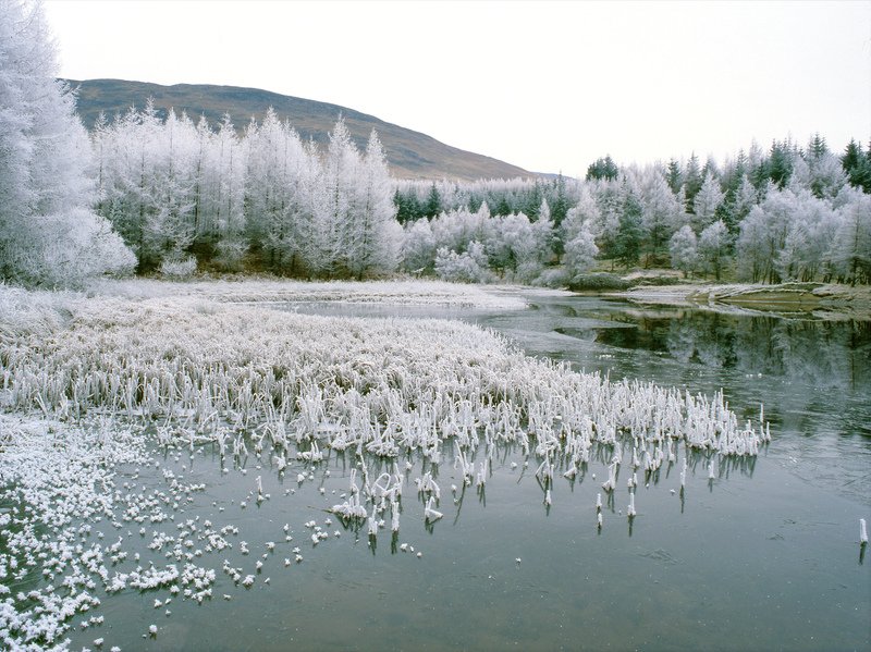 TrueHighlands's tweet photo. On the 16th day of December True Highlands brings to you......a frosty scene on Loch Lubhair

#frost #winterscene #frozenloch #scotland #christmastrees https://t.co/IrkbOJLAhn