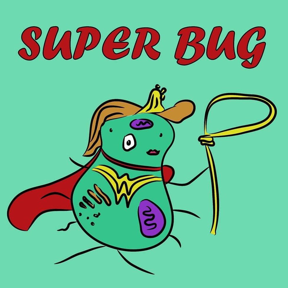 stoppersaysdsgn's tweet photo. Day 16 of #artadventcalendar
Part of a superbug series. Not for sale
#superbug #superhero #wonderwoman #microbe #sciart #scitoon #microbiology https://t.co/G6WaN5YK8d
