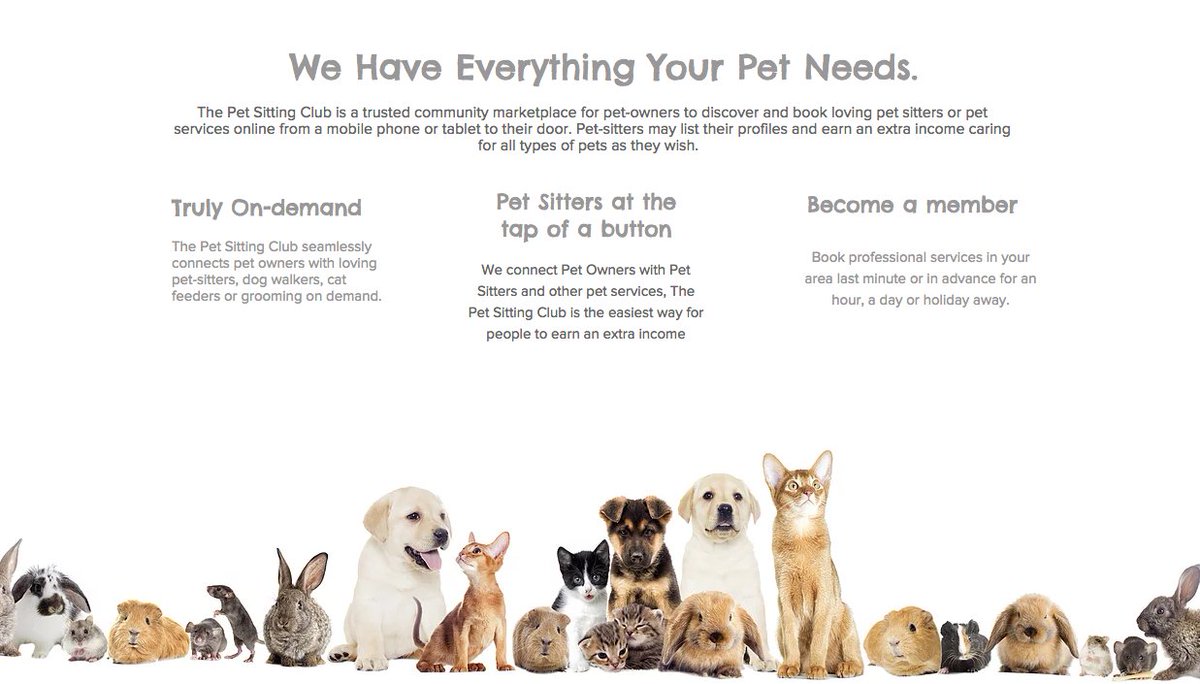 Check out new website projects by <a href="/hello_urteam/">Urteam</a> in Bristol inc. <a href="/petsittingclub1/">The Pet Sitting Club</a> bit.ly/2kz8mPn