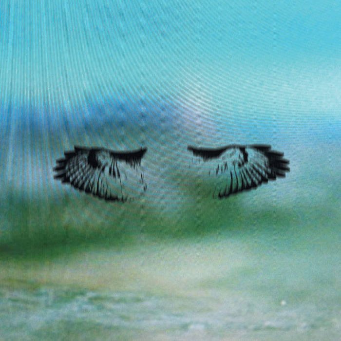 lunchtimesardineclub tweet media