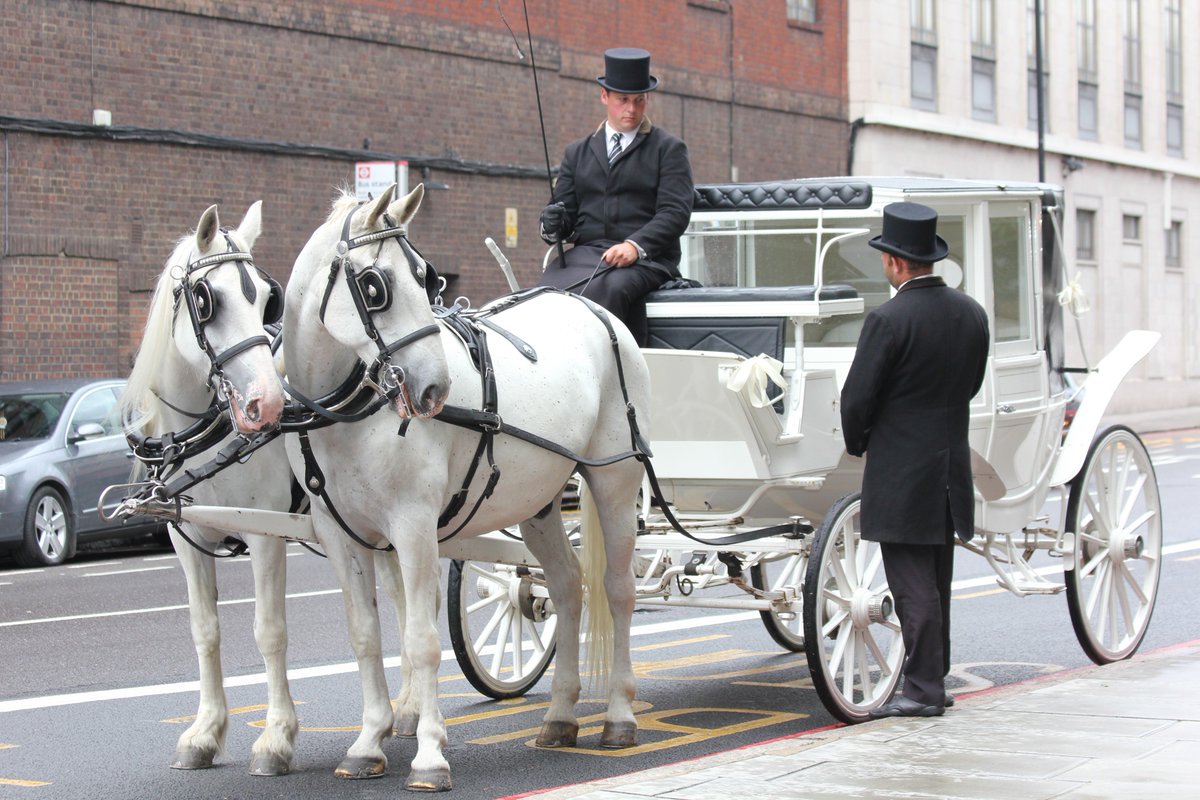 stbconcept's tweet image. ''When love and skill work together, expect a masterpiece.''