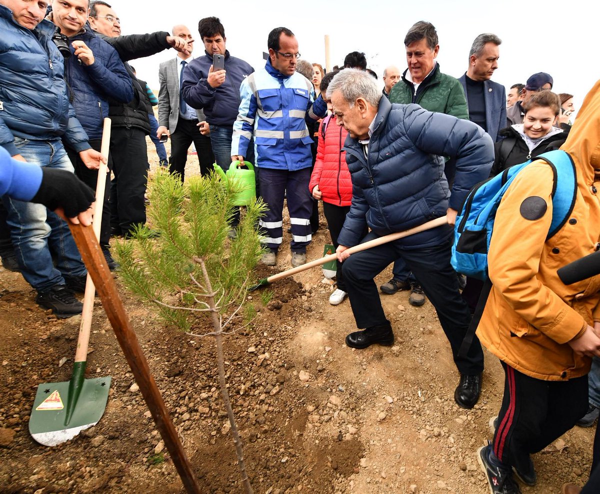 bskazizkocaoglu's tweet photo. Burası bir taş ocağıydı. 232 bin kamyon malzeme taşıyıp doldurduk.  Sonra güzelce terasladık. Bugün de hemşehrilerimizle birlikte 10 bin 300 adet kızılçam, yalancı akasya, kara ve mavi servi fidanı diktik. İzmir'e de bu yakışırdı. https://t.co/cyMqt5l39M