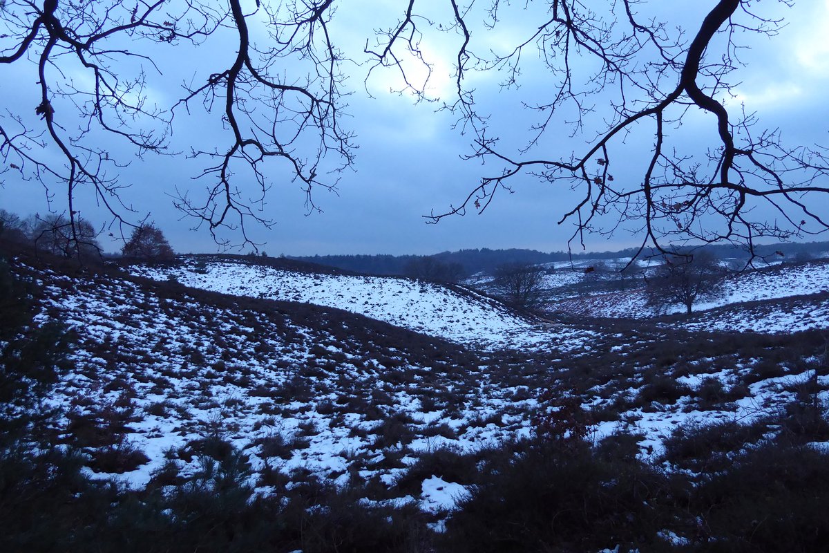 Continentaal klimaat #Herikhuizerveld #Posbank <a href="/veluwezoom/">Regio Veluwezoom</a>