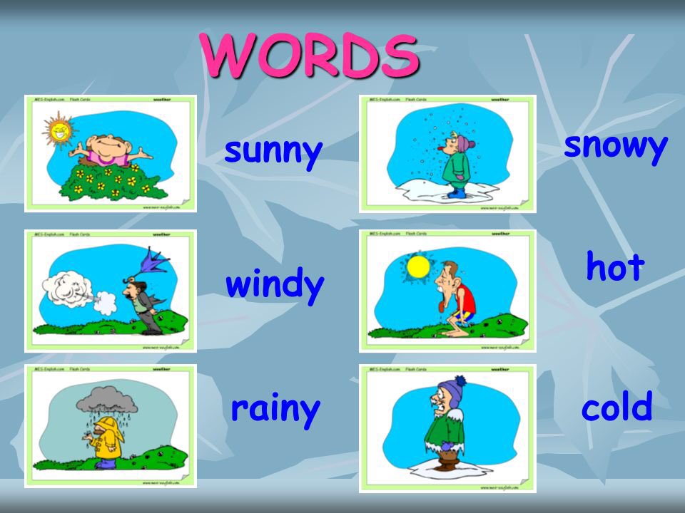 What's the weather word of the day? 💦❄️☁️🌞🌩☔️💧⛅️⛈#whatwouldwetalkabout #northeastweathercomplainers #mothernature