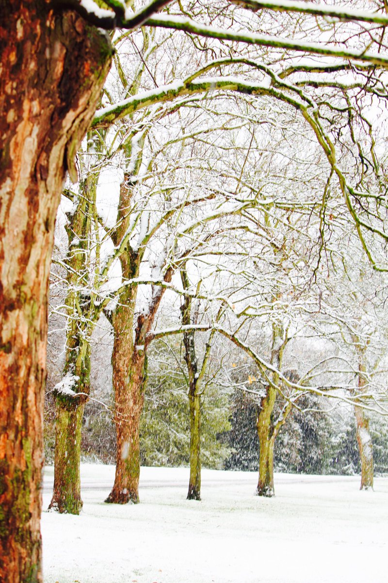 stbconcept's tweet image. The beauty of the season. London 10.12. 2017