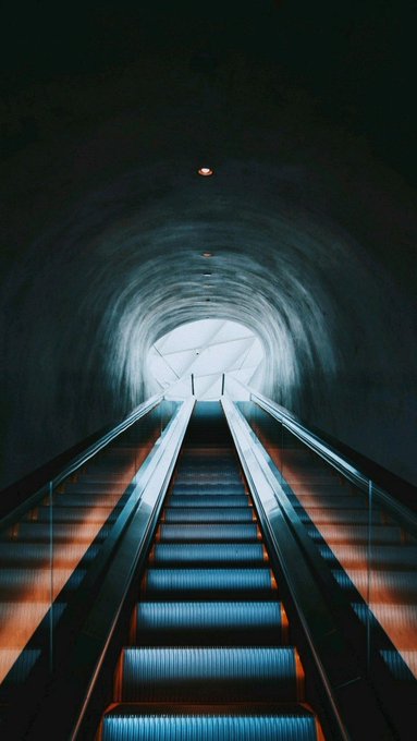 Суть твиттера &ndash; всегда натыкаться на свои мысли, четко выраженные другим человеком, в то время как сам<a href="/tag/govegan"class="tags"><span>#govegan</span></a>