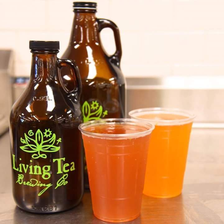 Oceanacuob's tweet photo. December Friends &amp; Family Special ~ Bring a friend &amp; receive a Free Kombucha from Living Tea. Share the gift of the health this holiday season! #kombucha #friendsandfamily #acupuncture #community #oceanbeach #sandiego #livingteakombucha https://t.co/9WqAUP66zR https://t.co/mB8P5fefMb