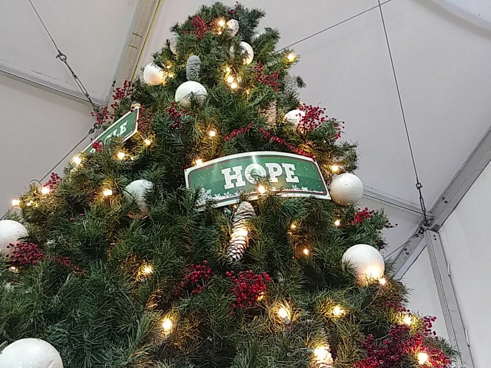 MetroMinistries's tweet photo. We are #FishingForHope this beautiful morning at our Holiday Tent - come join us! Can't make it to the tent? Donate online https://t.co/c1UPrHv0ML https://t.co/YKKxlAywfS