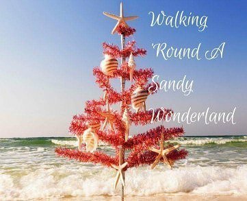 This is what Christmas looks like on the beach! Do you prefer this or white Christmas?
#christmas2017 #christmas #happyholidays #beach #Florida #Floridalife #WeLiveHere ift.tt/2AEljy5