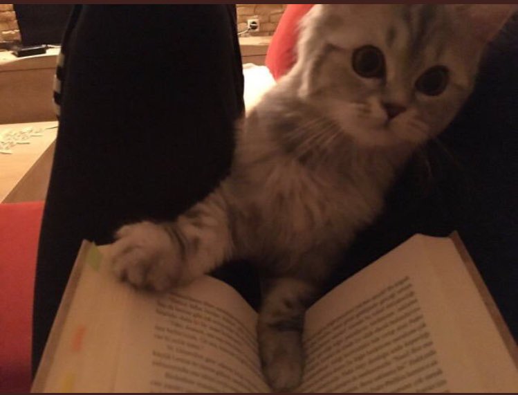 UCCXV's tweet photo. Can i read with you?😍 https://t.co/JVrUUiIuoh