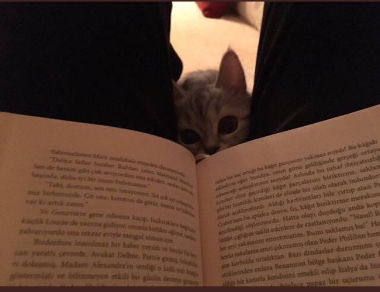 UCCXV's tweet photo. Can i read with you?😍 https://t.co/JVrUUiIuoh