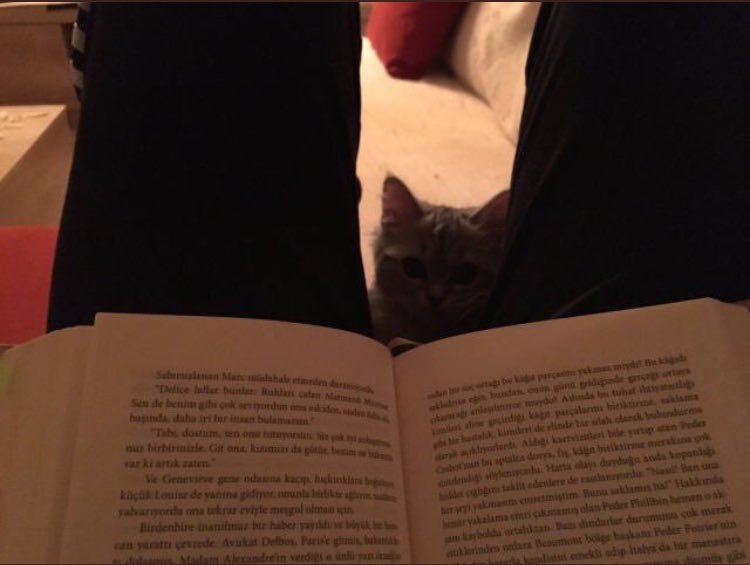 UCCXV's tweet photo. Can i read with you?😍 https://t.co/JVrUUiIuoh