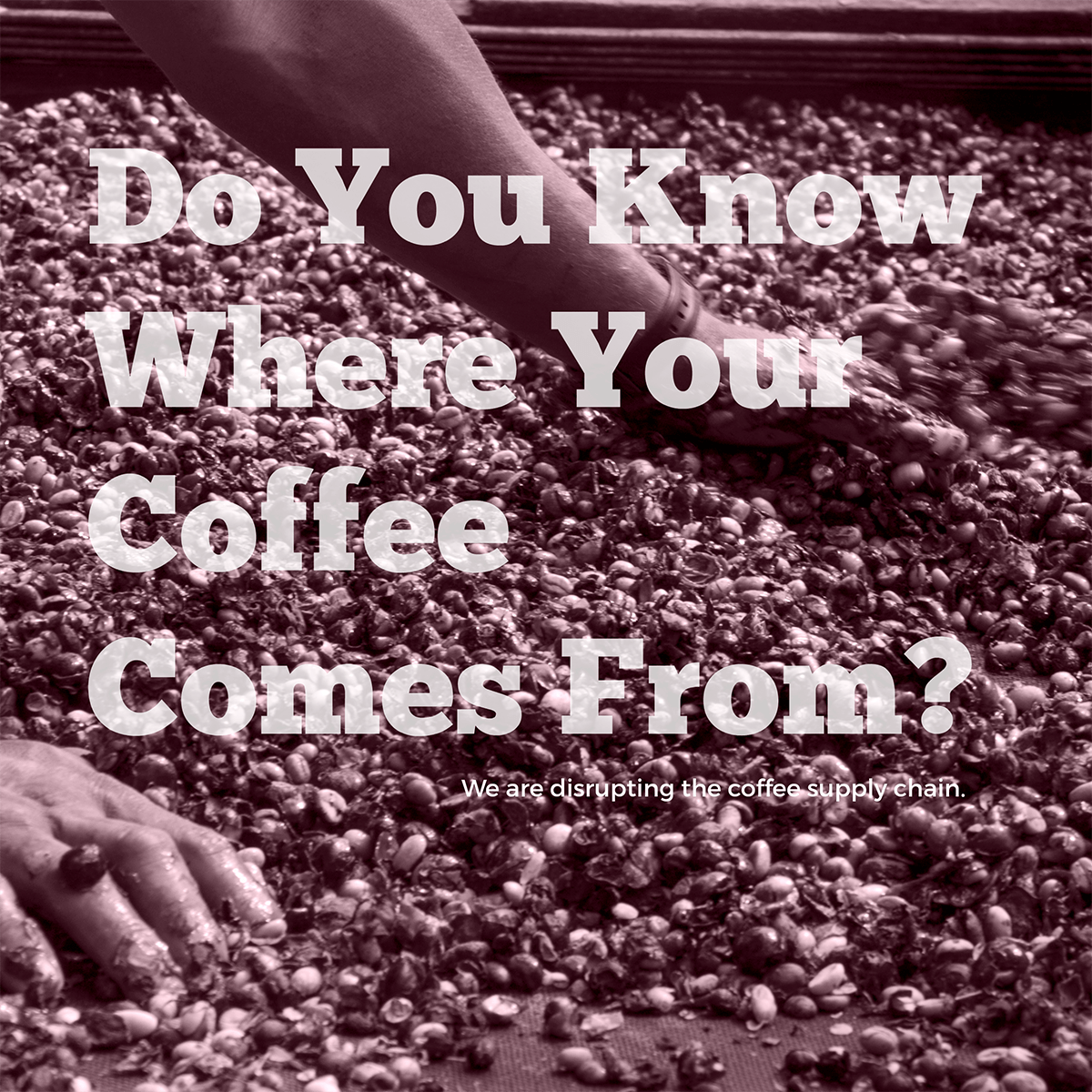 CoffeeCoMission's tweet photo. We have seen some importers change the name of coffee farms so you can't know the true source yourself. We have the greatest transparency of any coffee importer and we deal directly with passionate people who care deeply about the quality you serve. #TradeHonestly #coffeeimporter https://t.co/VufZJuo3Nl