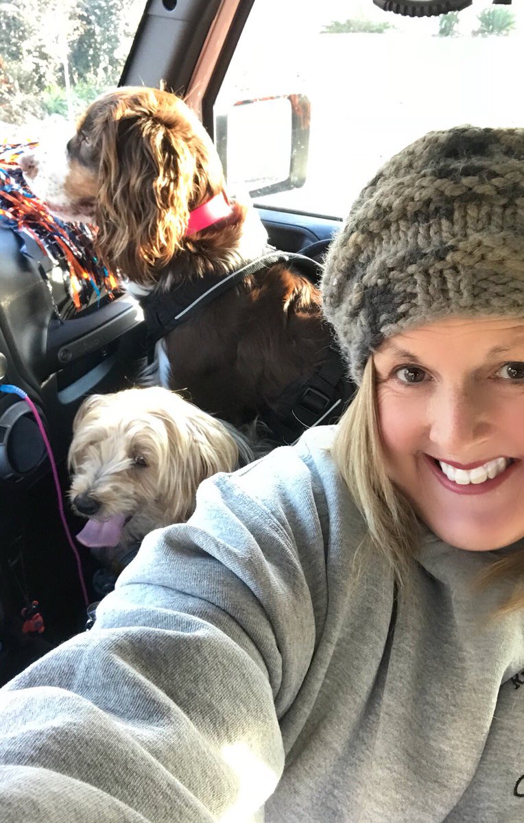 tawannagail's tweet photo. Headed hiking. #jeepdogs #JeepMafia #wehike https://t.co/kuq2C9pRN7