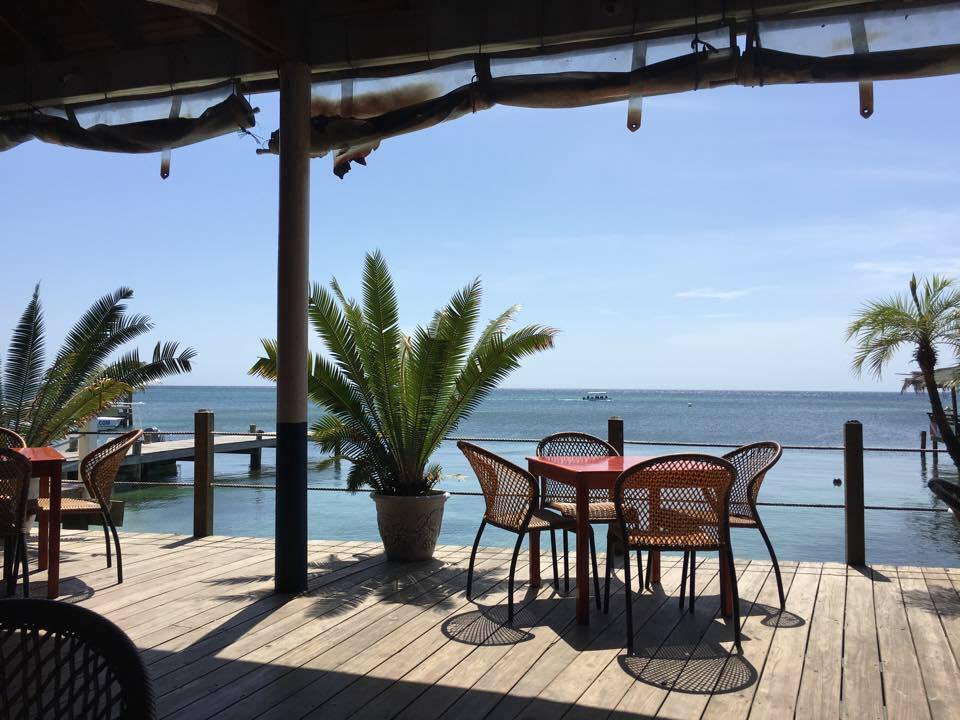 rkeithdavis's tweet photo. Roatan Honduras, Splash Inn Resort #Caribbean #workandtravel #IslandLife #RealEstate #luxuryrealestate #Auctions https://t.co/YFQkmCZJdB