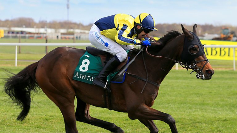 racingtips's tweet photo. Horrible to watch Starchitect's injury this afternoon and you really have to feel for David Pipe, who looked to have a star on his hands 🌟
A terrible way to end what had been a brilliant run. #RIPStarchitect https://t.co/SdNVZaQkJO