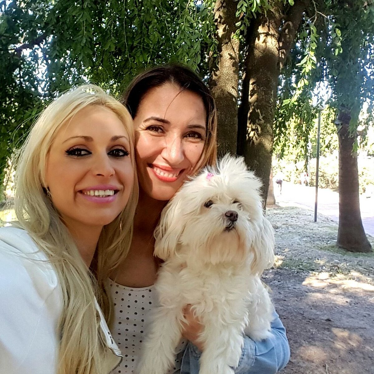 Cecilia Faccio tweet media