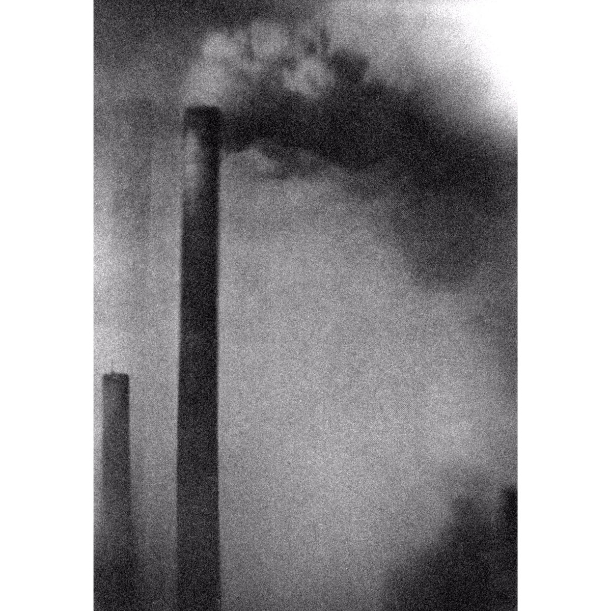 benprks's tweet image. #polaroid600se @ILFORDPhoto #ilford3200