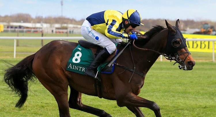 ODDSbibleRacing's tweet photo. Thoughts go out to David Pipe, Tom Scudamore, Paul &amp; Clare Rooney following the loss of Starchitect. Looked to have such a bright future, he’s the brightest star in the sky right now. #RIPStarchitect https://t.co/58iIdQMHGw