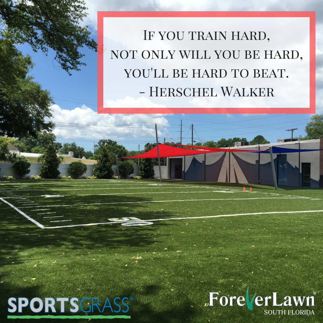 ForeverLawnSFL's tweet photo. Hard to beat - SportsGrass by ForeverLawn. #ForeverLawn #SportsGrass #SouthFLorida #Miami #ArtificialTurf https://t.co/JpKzvnUk7Y
