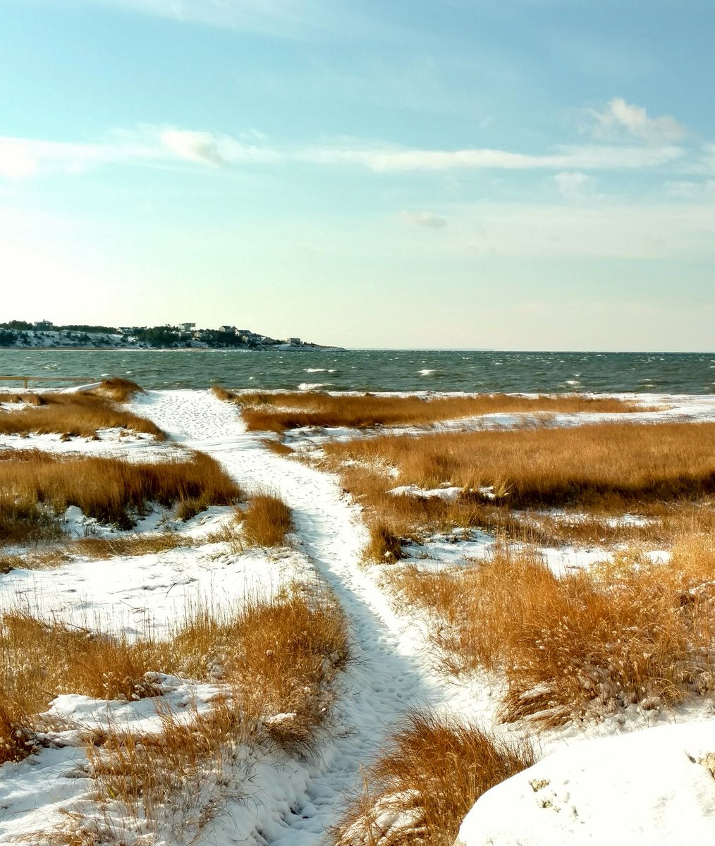 vacawellfleet's tweet photo. Glorious day to be out and about at Indian Neck in Wellfleet! Gloves and hat required! ⛄ #wellfleet #wellfleetharbor #indianneck #capecod #winter https://t.co/JXOhdIgCdf