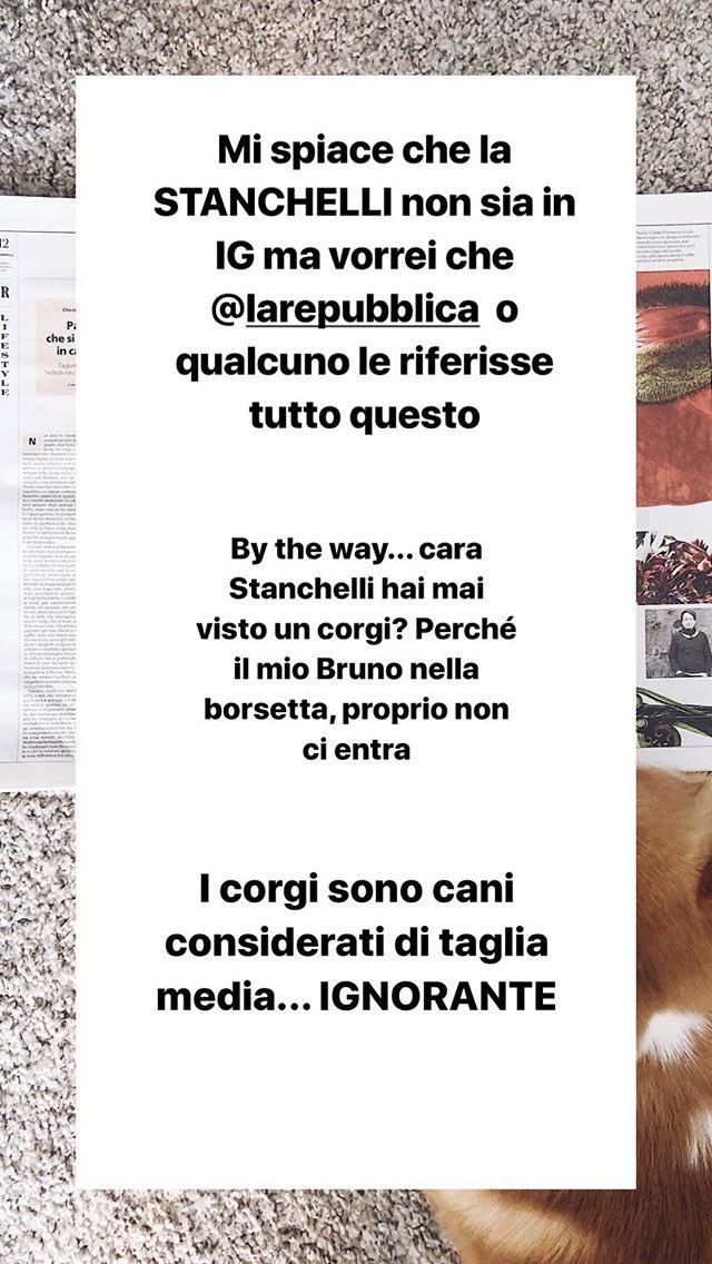 giuliabidi's tweet photo. Che articolo... squallido. 
Scritto da @elenastanka per @LaRepubblica_it ...                             
Le assicuro, cara giornalista se cosí possiamo definirla, che i cani da borsetta sono piú intelligenti di Lei.

RT: @nonsolofood https://t.co/i7GbvXMmzY