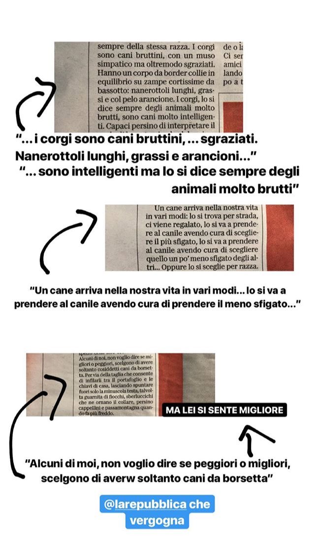 giuliabidi's tweet photo. Che articolo... squallido. 
Scritto da @elenastanka per @LaRepubblica_it ...                             
Le assicuro, cara giornalista se cosí possiamo definirla, che i cani da borsetta sono piú intelligenti di Lei.

RT: @nonsolofood https://t.co/i7GbvXMmzY