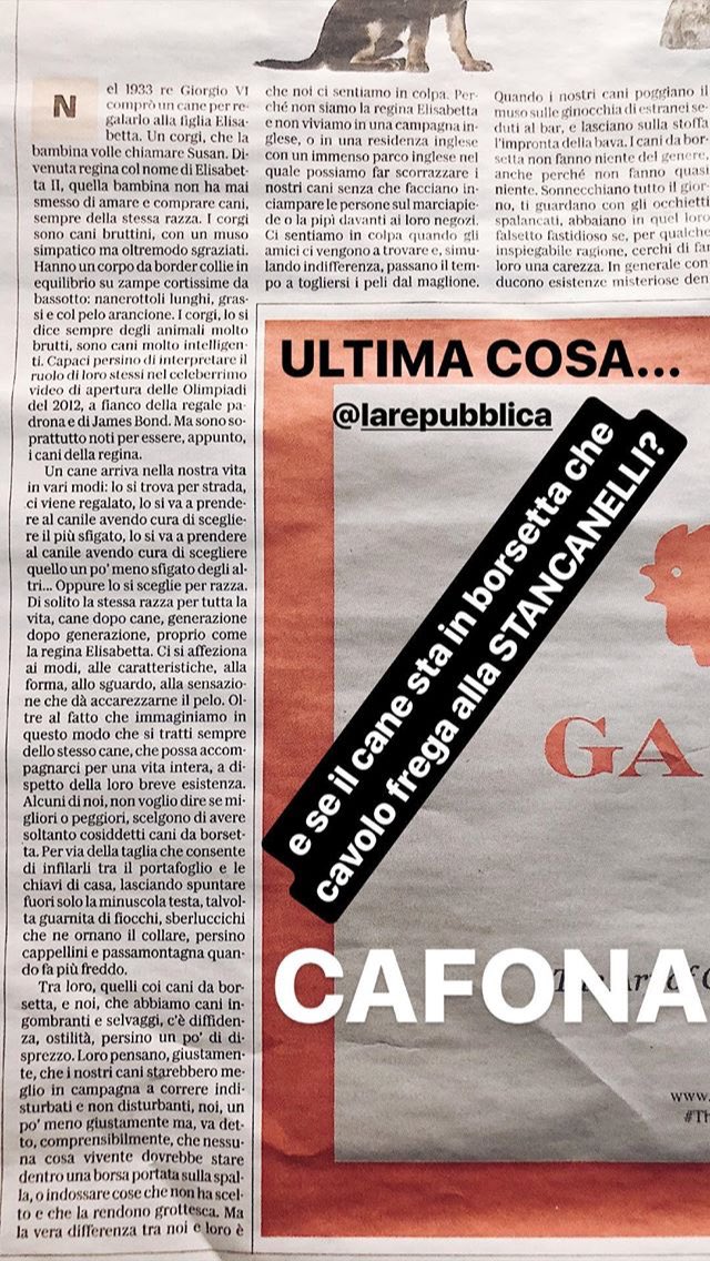 giuliabidi's tweet photo. Che articolo... squallido. 
Scritto da @elenastanka per @LaRepubblica_it ...                             
Le assicuro, cara giornalista se cosí possiamo definirla, che i cani da borsetta sono piú intelligenti di Lei.

RT: @nonsolofood https://t.co/i7GbvXMmzY
