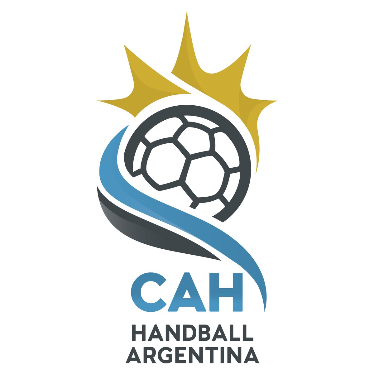 Sel. Argentina Handball 🇦🇷 on X: "Se aprobó por unanimidad ...
