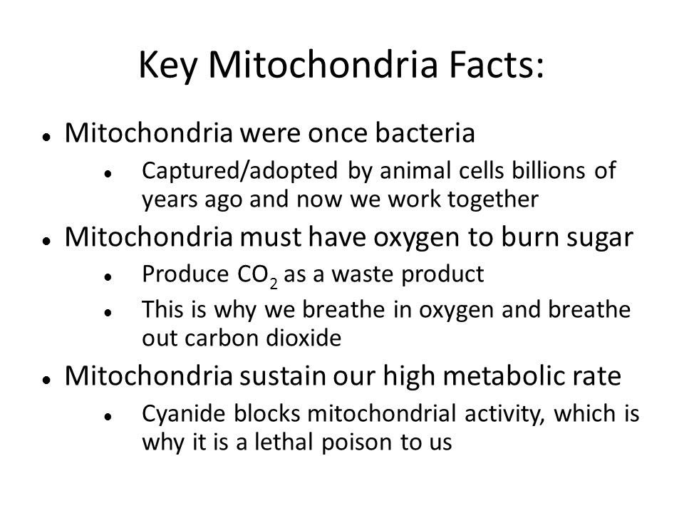 Mightypowercell's tweet photo. WOW! look at all those cool facts out the mighty mitochondria😱#HPSDawesome #cellwars https://t.co/l1B5cpvYqV https://t.co/HVP6zR5ZNR