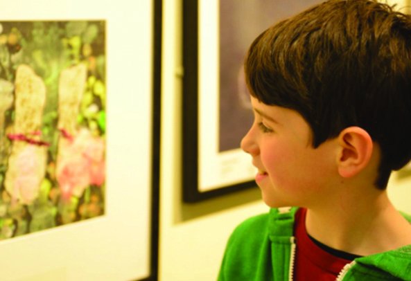 PostcodeLottery's tweet photo. Throughout December we're featuring 24 charities appearing in our Advent Calendar. Saturday's charity is @NatGalleriesSco. This fantastic charity delivered 127 free tours attended by 2,000 school children and young people. #PPLAdventCalendar
https://t.co/7ixBo9JS6f https://t.co/JLsVXcPdaJ