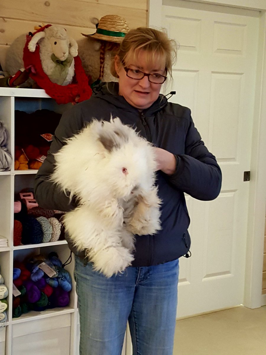 kensmith3130's tweet photo. Come meet Paige and Mable....#cutest bunniesever@FleeceandHarmony
Were here till5pm https://t.co/9hz9ZSFCNX