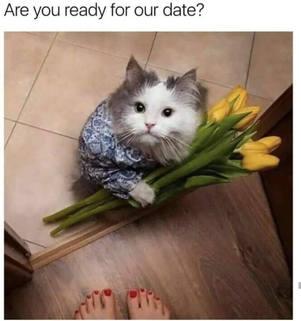 CutenessGen's tweet photo. https://t.co/FG13MxbRQj https://t.co/GZ0Oanxs2M
