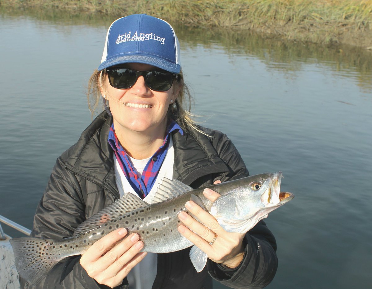 AvidAngling's tweet image. Fishing is still excellent right now and will continue through the holidays!  Sight fishing the inshore creeks and bays is as it's best this time of the year. #charlestonfishingcharter
#charlestonfishingcharters
#avidangling avidangling.com