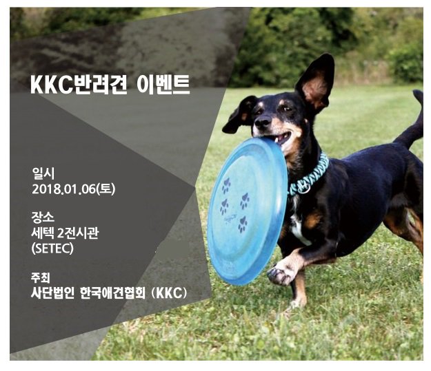 aftersun79's tweet photo. 반려동물을 위한 용품구입 뿐만 아니라 멋진 #도그쇼 #KKC #스타일리스트경연대회 까지 다양한 볼거리도 함께 볼 수 있는 #프리미엄펫쇼 !! 2018년 1월 5일 #세텍 에서 열린답니다. https://t.co/hM6GC6jIGC