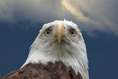 2714e0d17db04d2's tweet photo. @tribelaw Fkkn*Factual*Treason!! This #AltrntvAdmin WILL fade away~> Change is a Constant.
#Karma isComing4them.. #ImpeachTrump He isFowl. CantStandIt..them. Frm thAshes o'Bad thGood*Will*Rise. #RealWorld #ScientificMethod o'thUniverse*Rules. #NaturalSelction #25AmendmentNow
#WhatWillUDo https://t.co/2ZXLpI5j2C